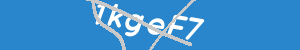 Introduzca el texto que aparece en la imagen
